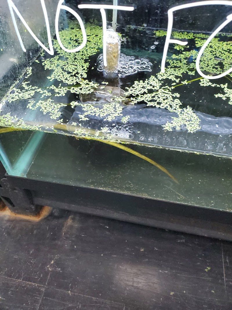 Fish Tails Pet Emporium - Photo 4