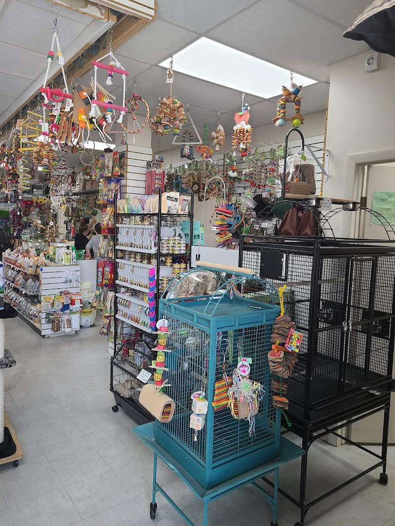 Fish Tails Pet Emporium - Photo 5