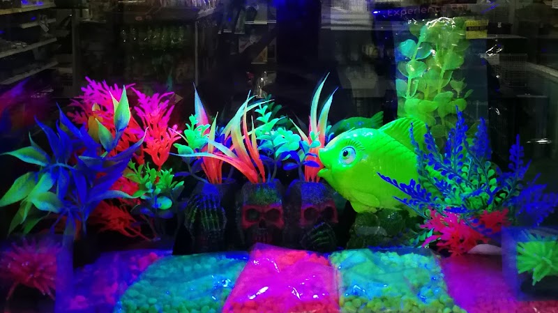 Maine Pet & Aquarium - Photo 2