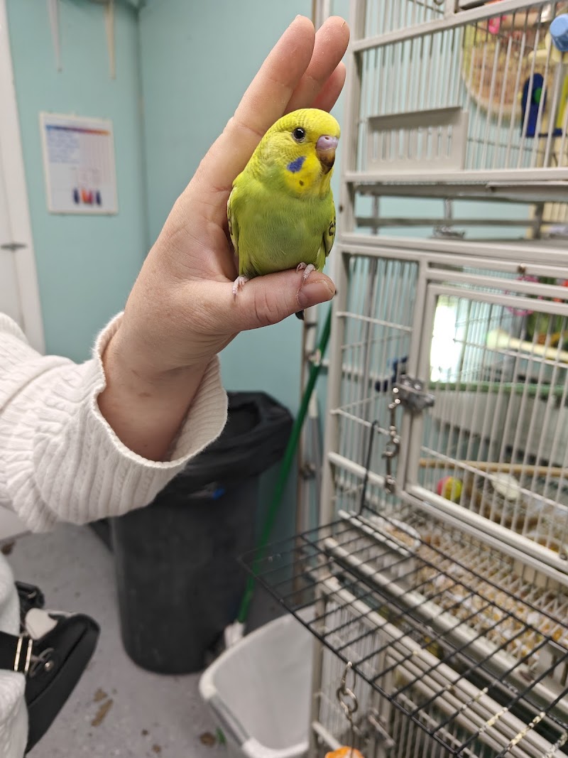 Maine Pet & Aquarium - Photo 3