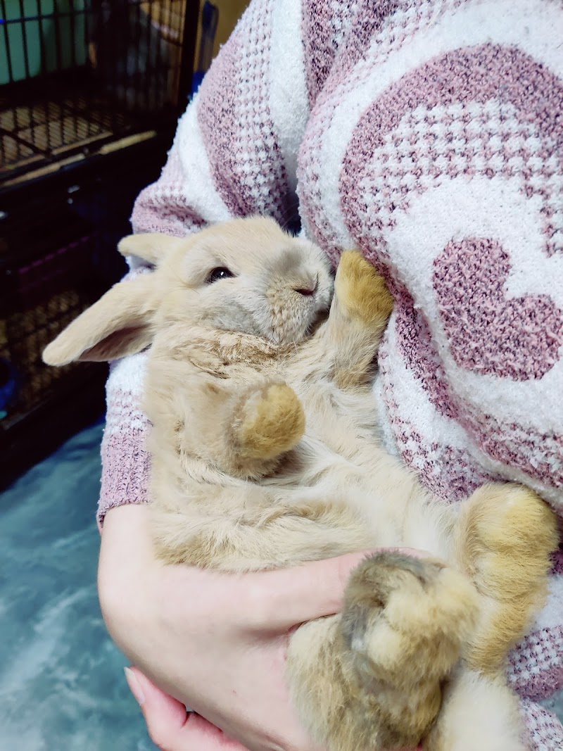 Maine Pet & Aquarium - Photo 4