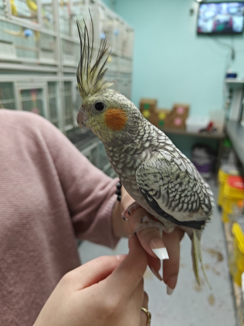 Maine Pet & Aquarium - Photo 5