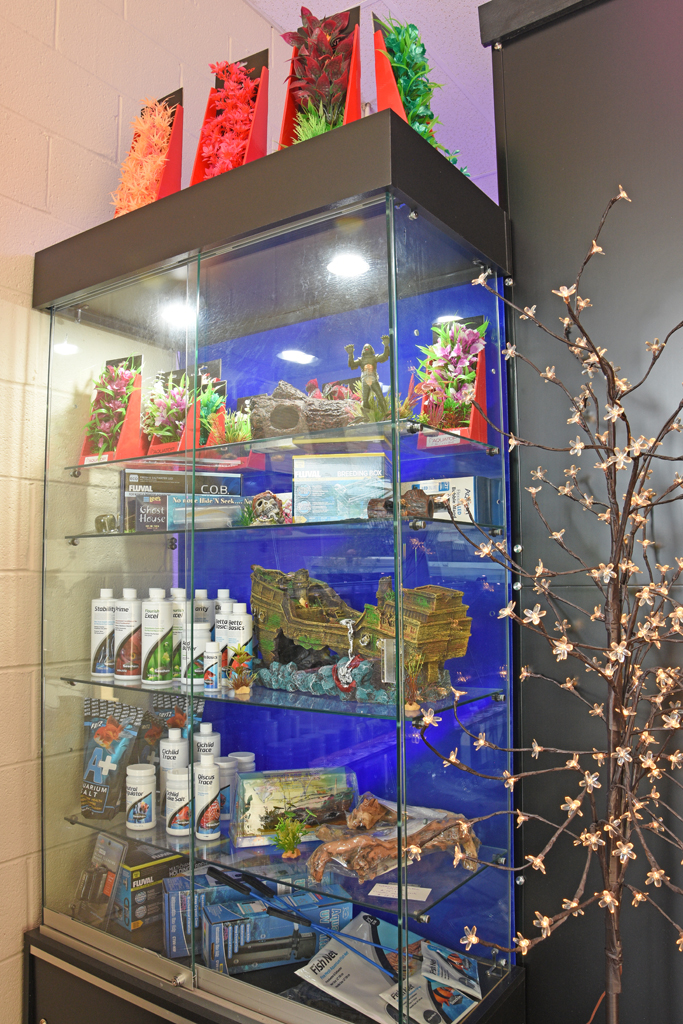 FINS Freshwater Aquariums - Photo 2