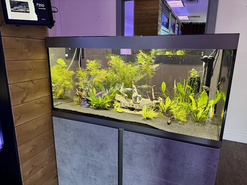 FINS Freshwater Aquariums - Photo 3