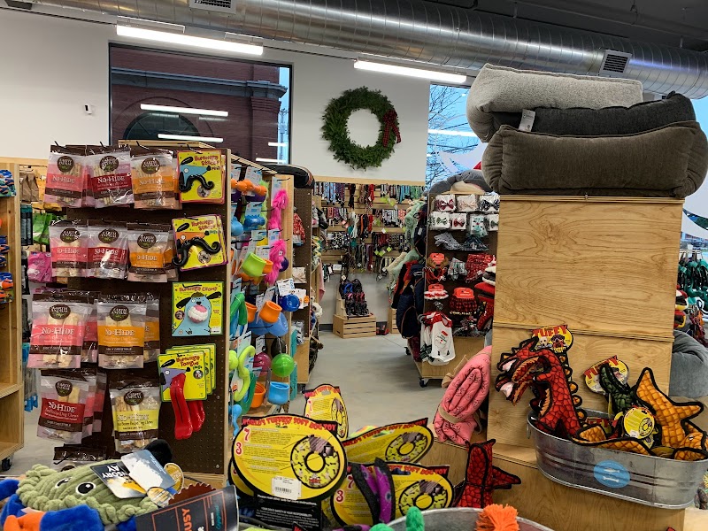 The Fish & Bone - Photo 2