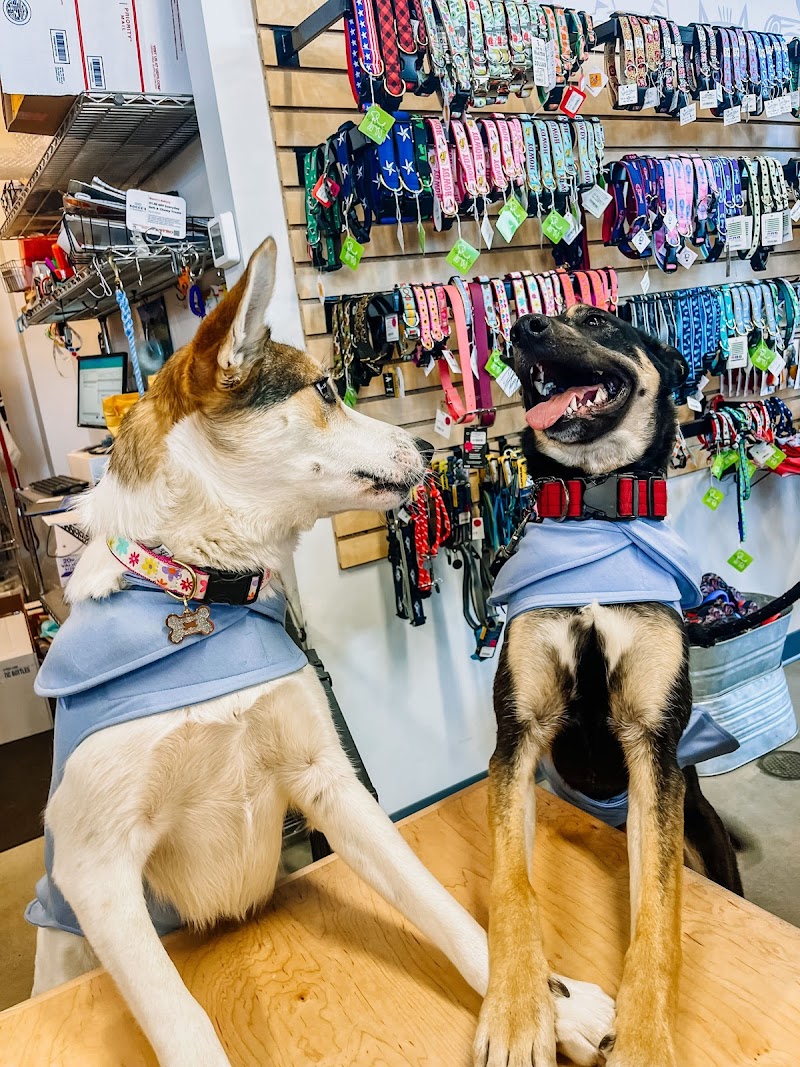 The Fish & Bone - Photo 3