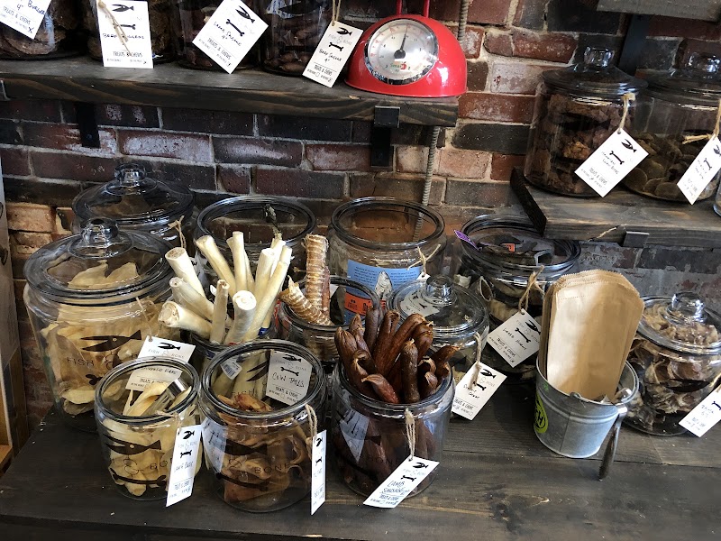 The Fish & Bone - Photo 4