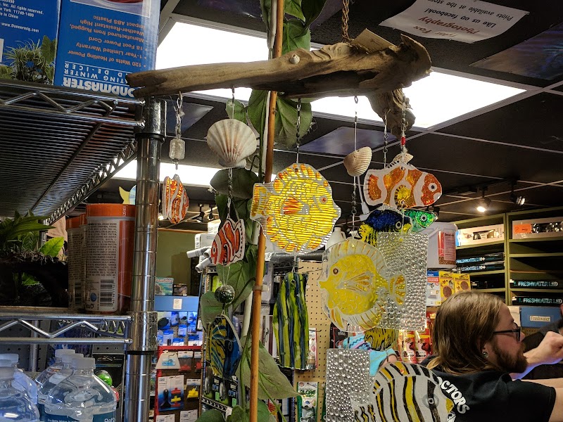 The Fish Doctors - Photo 1