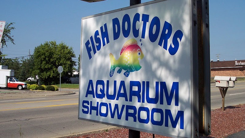 The Fish Doctors - Photo 2