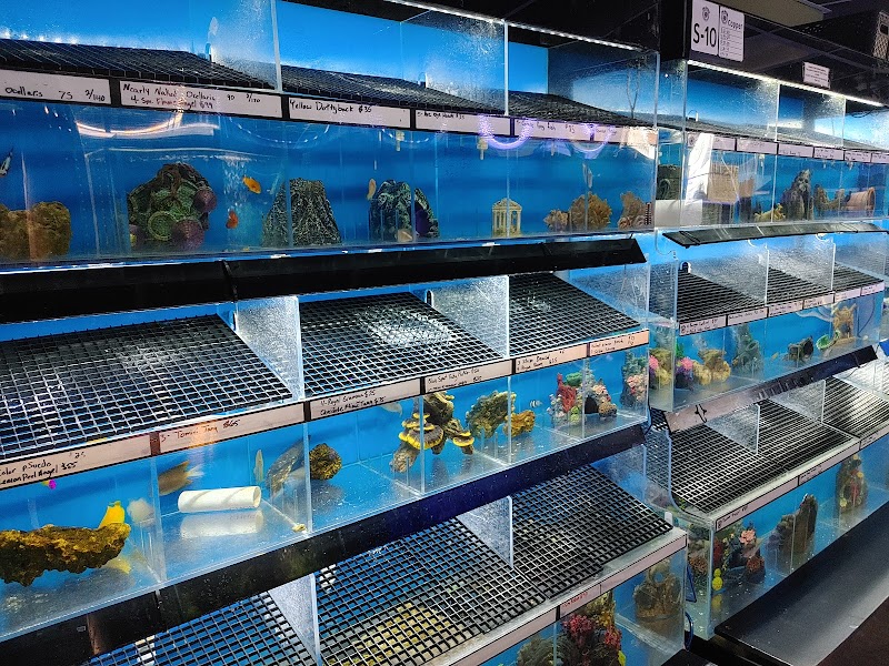 The Fish Doctors - Photo 3