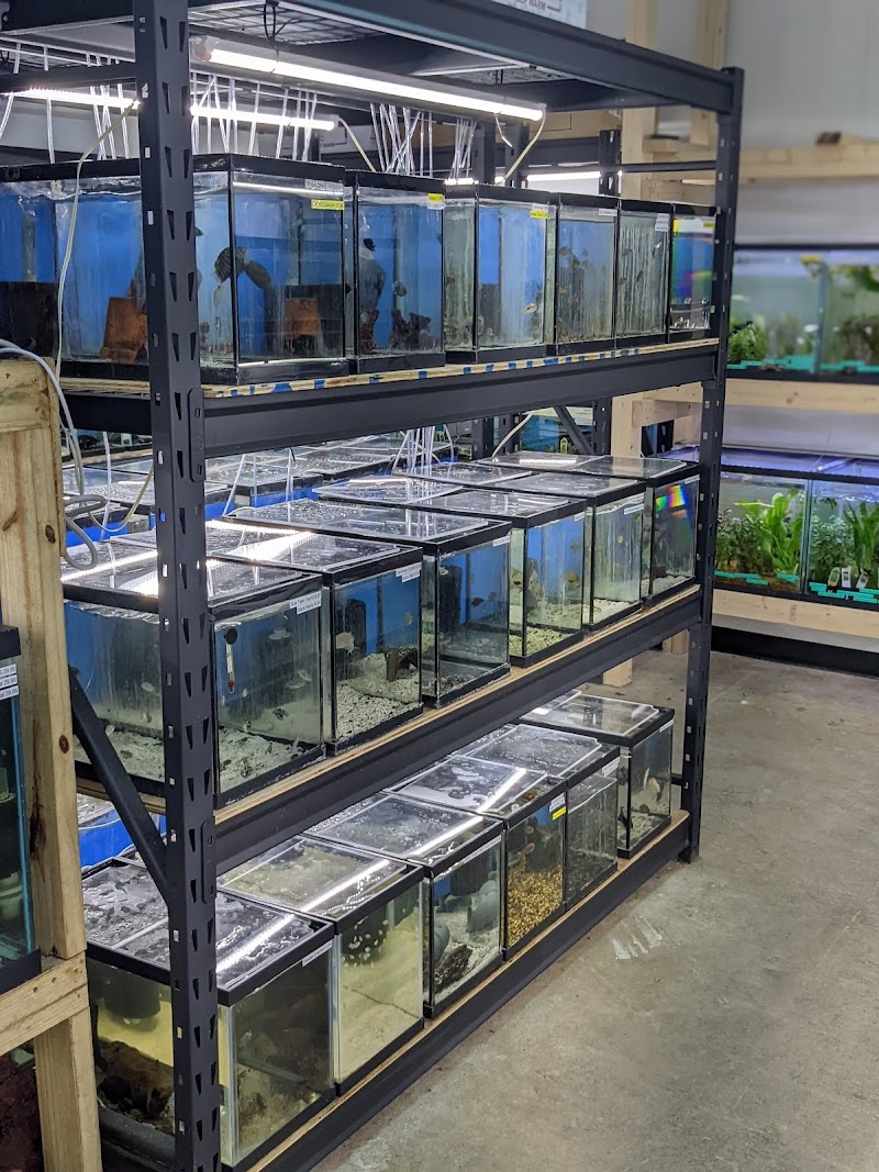 Fishy Bizz - Photo 2