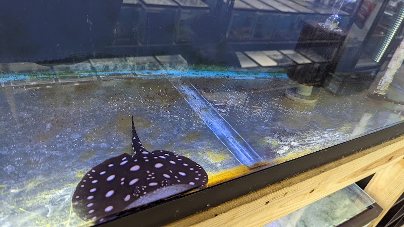 Fishy Bizz - Photo 3