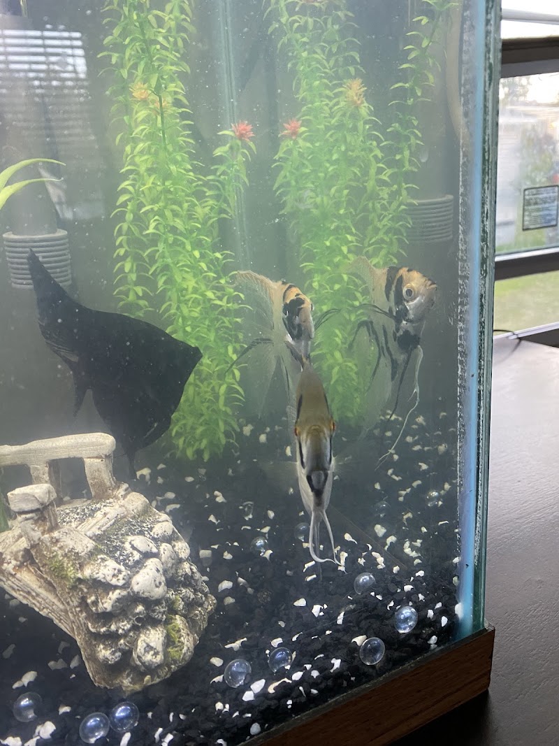 Fishy Bizz - Photo 4