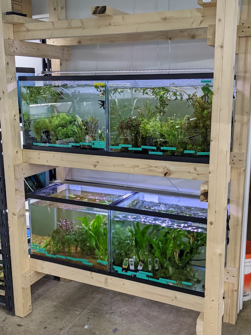 Fishy Bizz - Photo 5