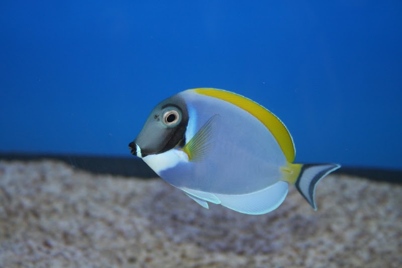 Aquatic Treasures/Bruces Pond Shop - Photo 2