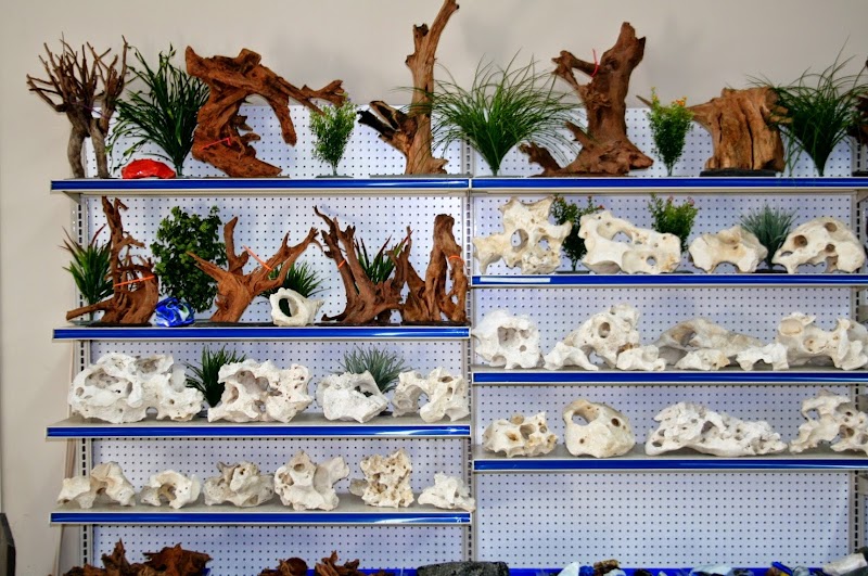 Aquatic Treasures/Bruces Pond Shop - Photo 3