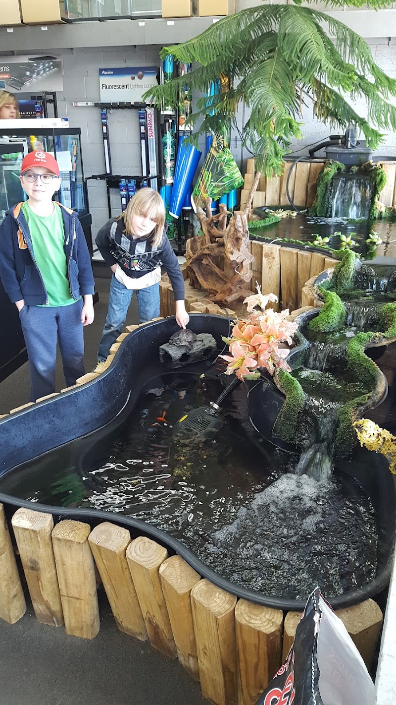 Something Fishy - Photo 4