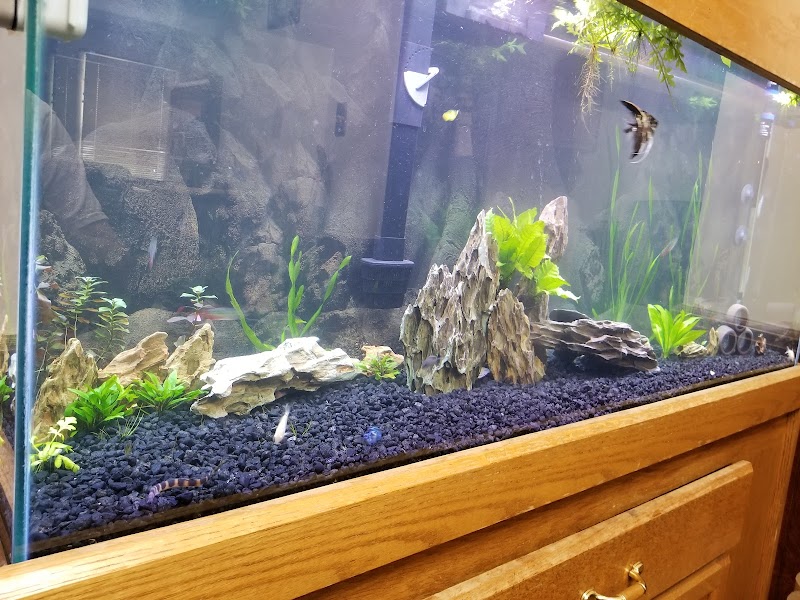 Something Fishy - Photo 5