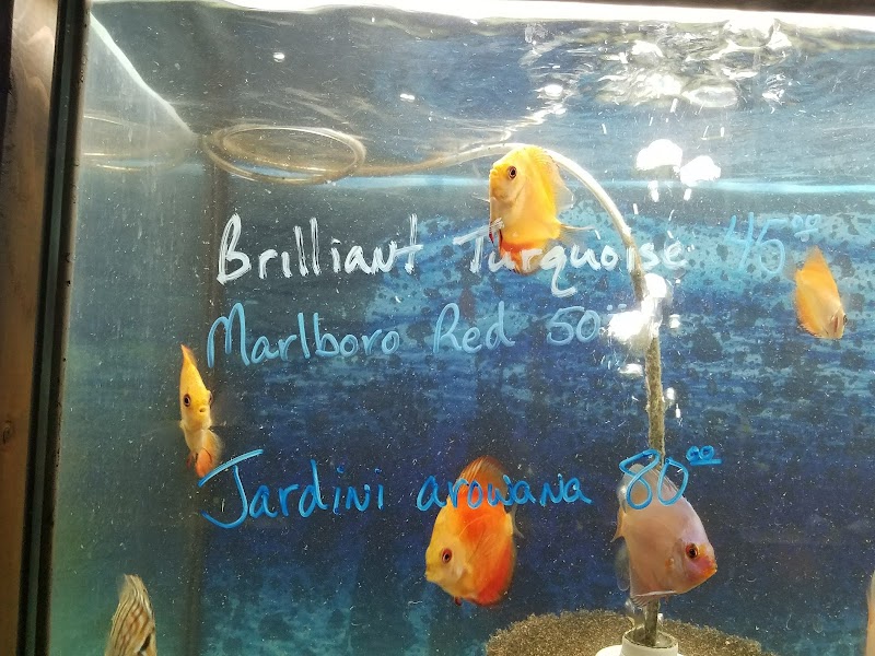 Fantastic Fins - Photo 5