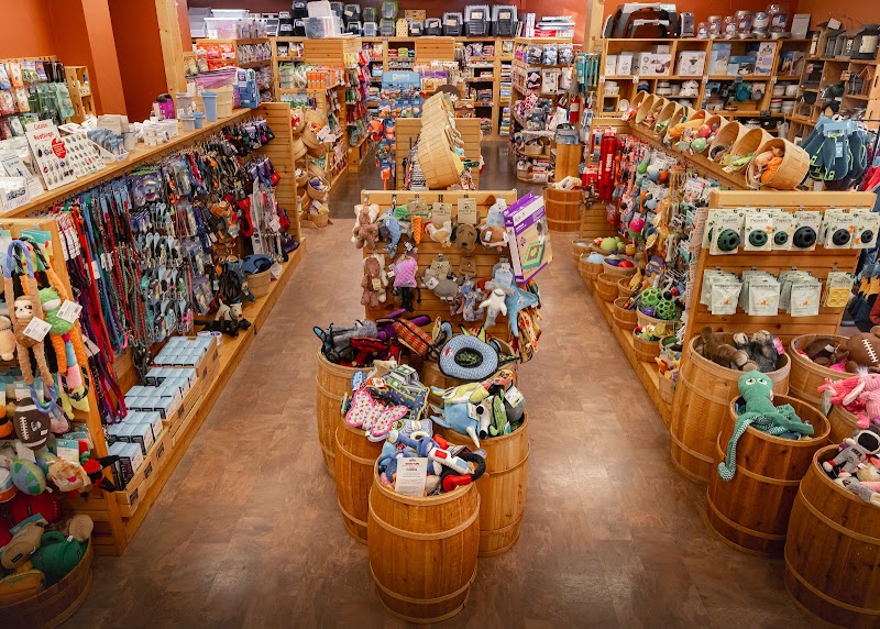 The Pet Emporium - Photo 5