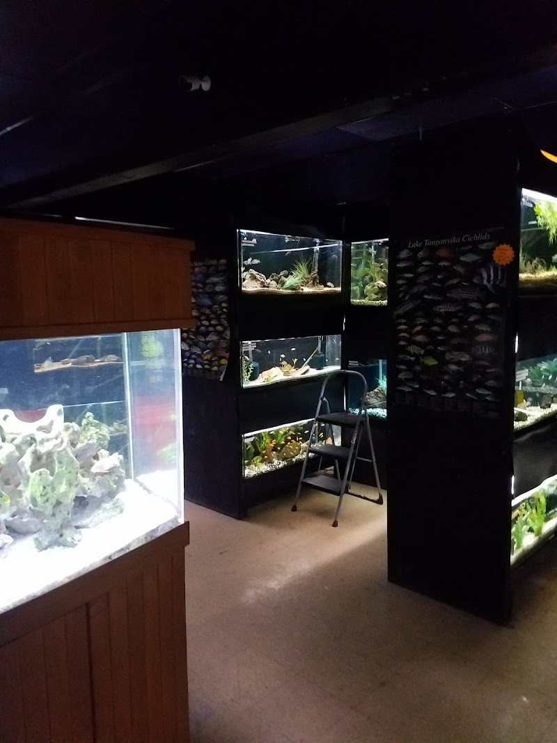 Blue Fish Aquarium - Photo 1