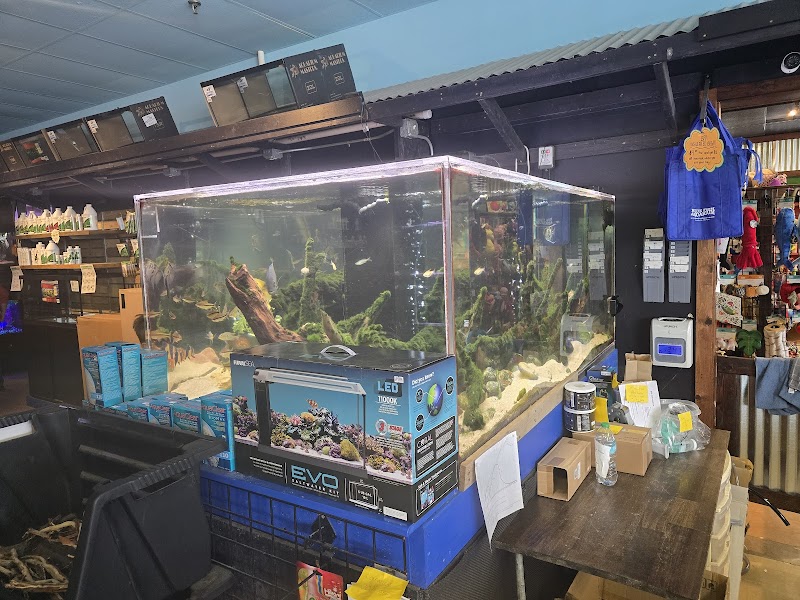 Blue Fish Aquarium - Photo 3