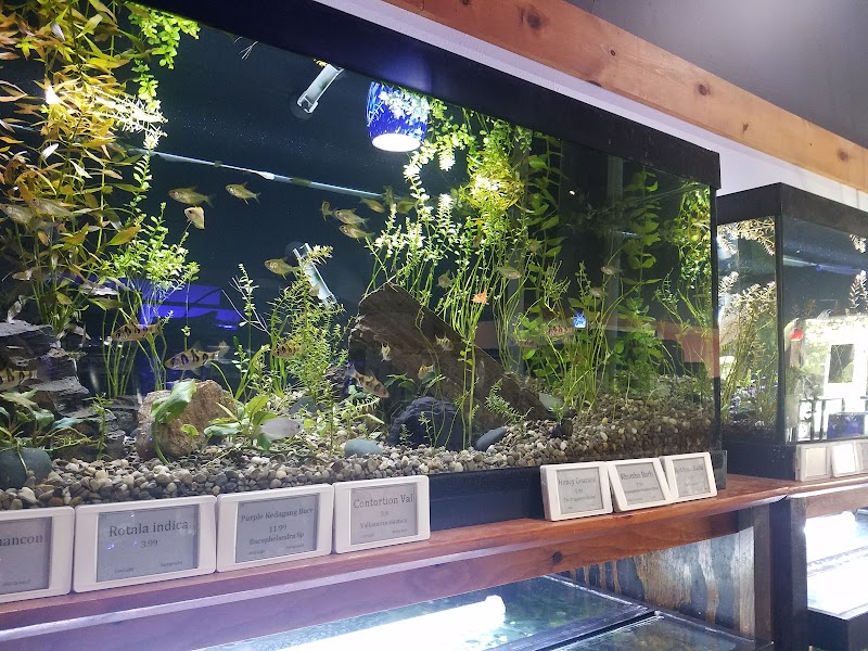 Watercolors Aquarium Gallery - Photo 1
