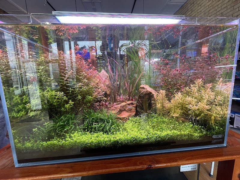 Watercolors Aquarium Gallery - Photo 4