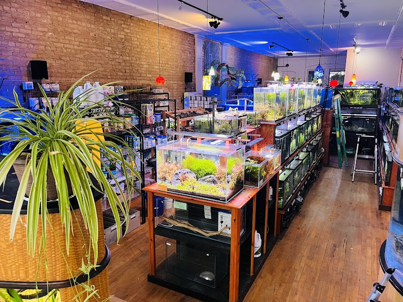 Watercolors Aquarium Gallery - Photo 5