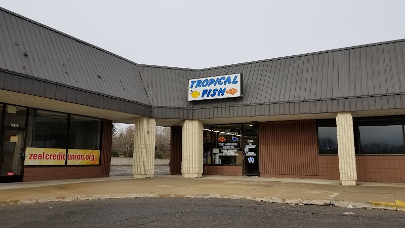 Pet Connection - Photo 1