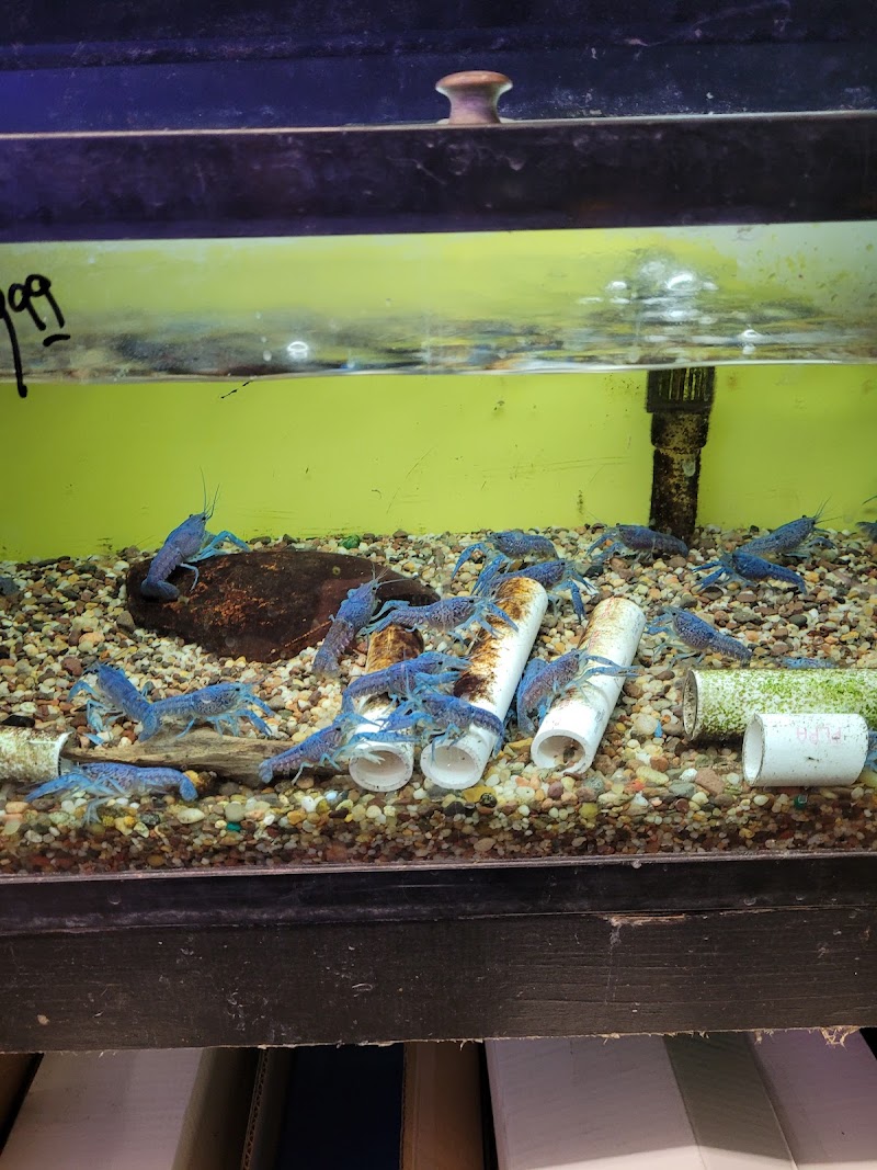 Pet Connection - Photo 2