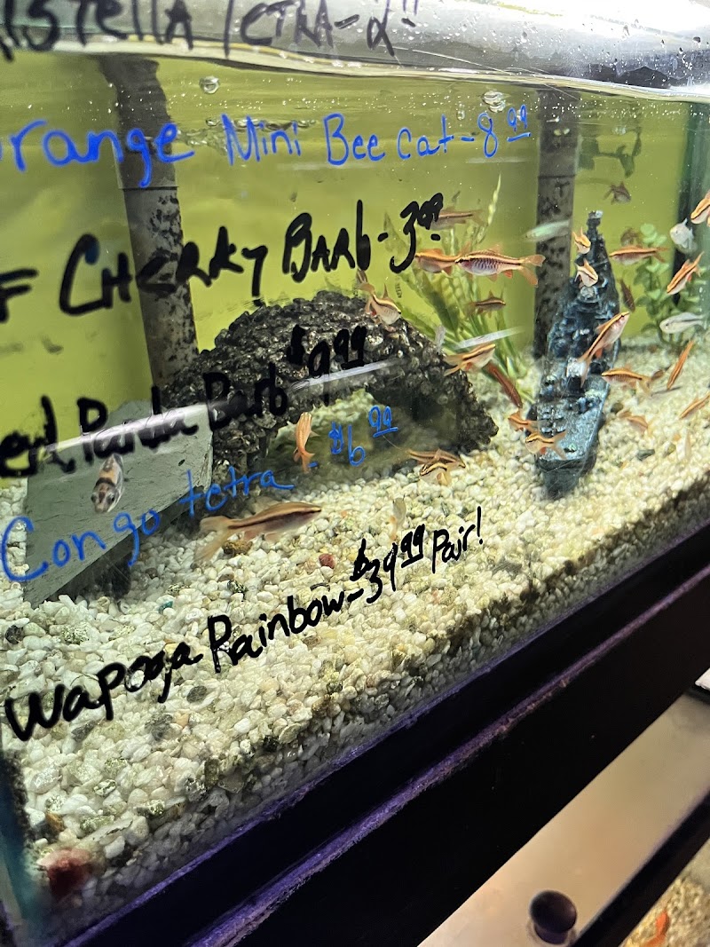 Pet Connection - Photo 5