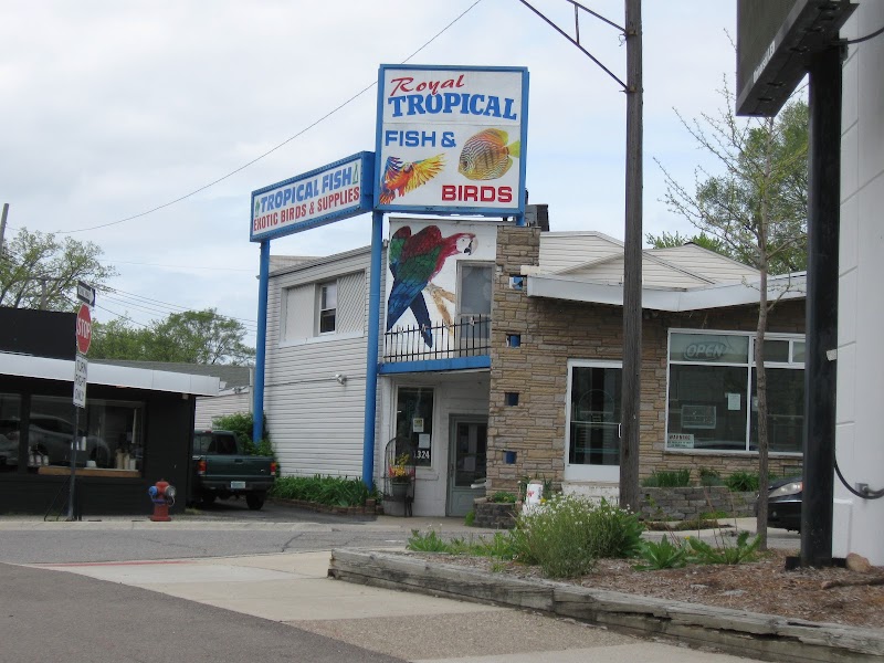 Royal Tropical Fish & Bird - Photo 1