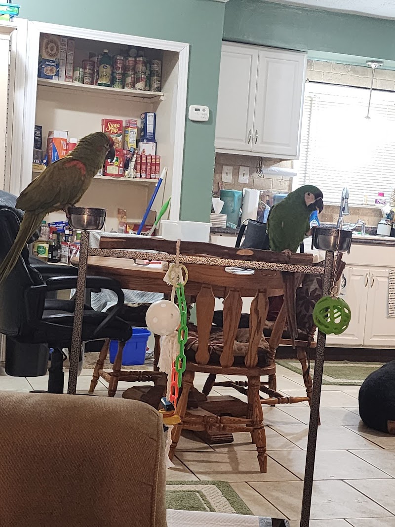 Royal Tropical Fish & Bird - Photo 2