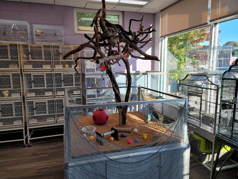 Royal Tropical Fish & Bird - Photo 3