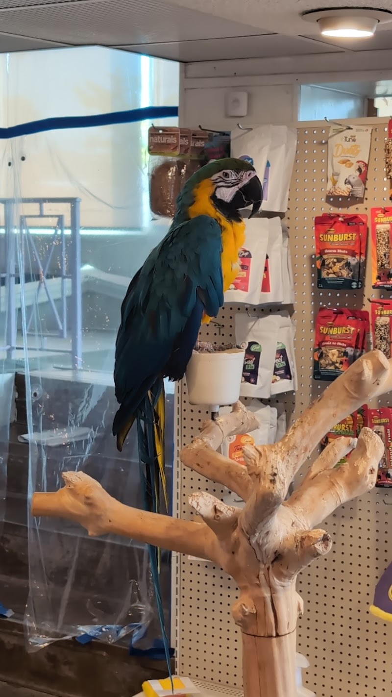 Royal Tropical Fish & Bird - Photo 4