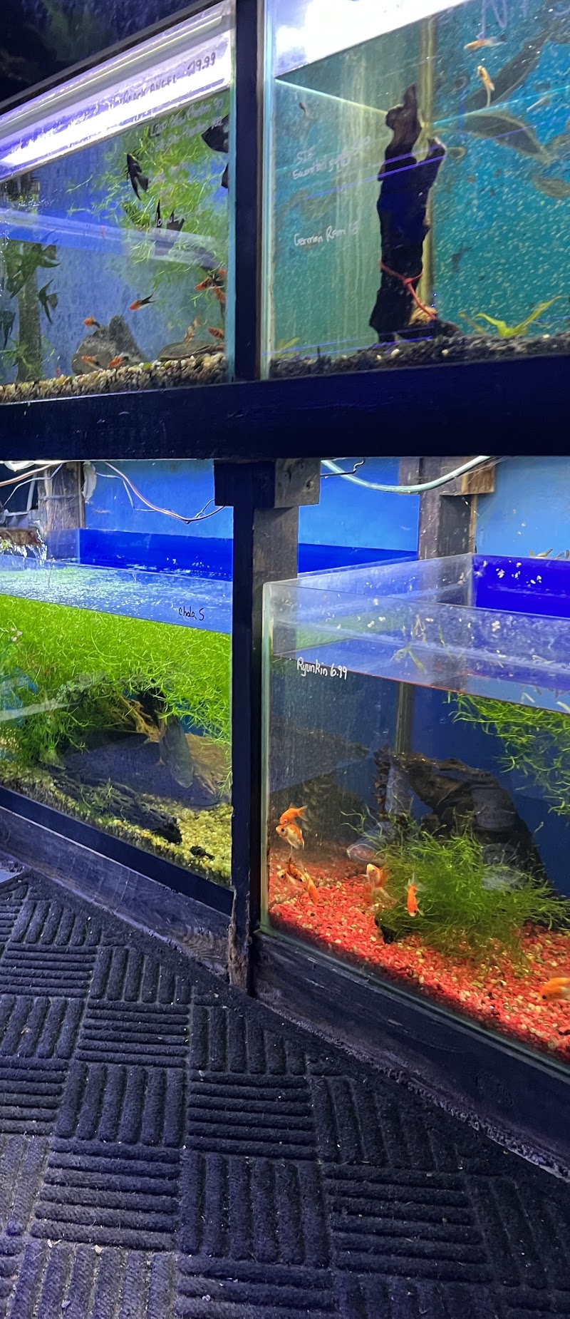 Oceans and Seas - Photo 3