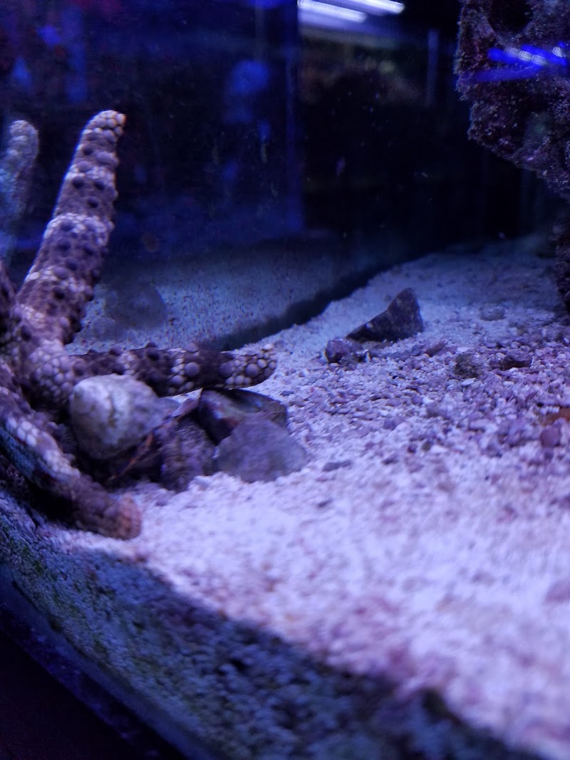 Oceans and Seas - Photo 4