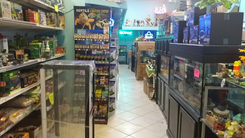 Oceans and Seas - Photo 5