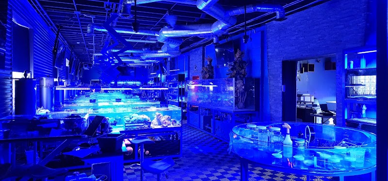 Detroit Reef Club - Photo 4