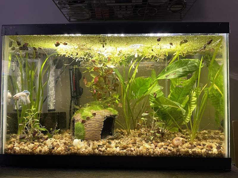 Stingray Bay - Photo 4