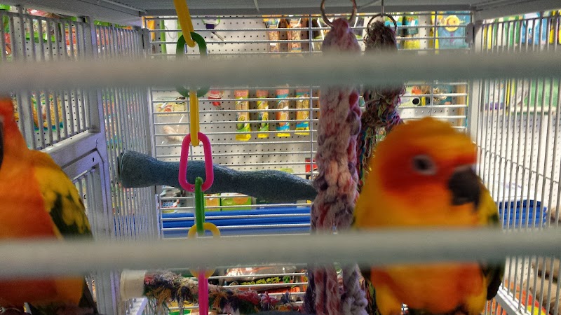 Stingray Bay - Photo 5