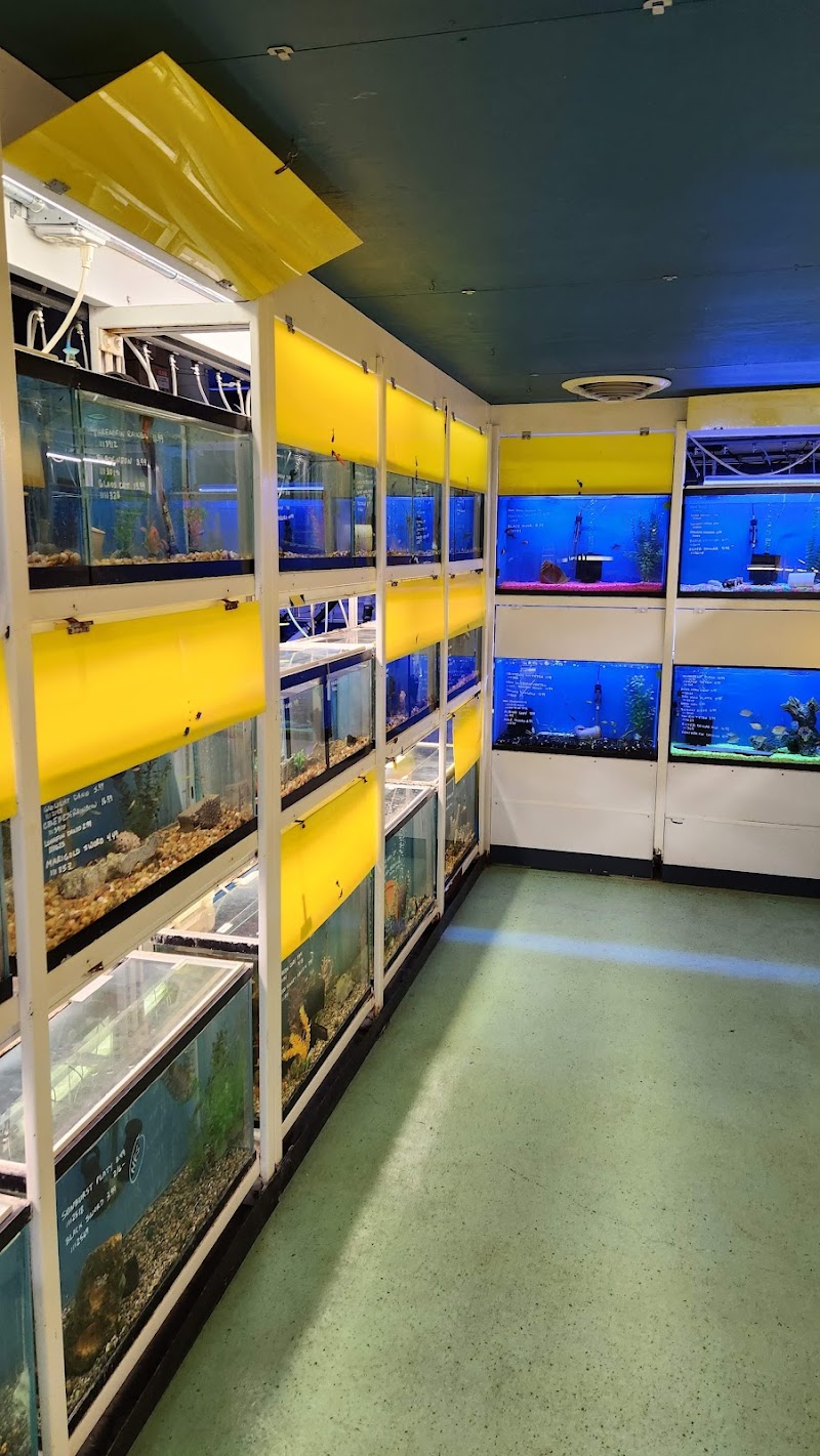 Tropical Treasures - Photo 1