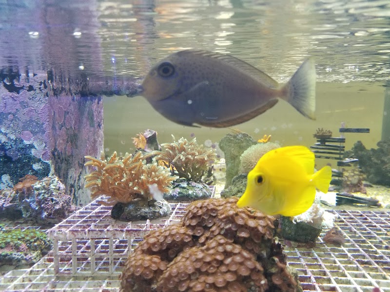 Tropical Treasures - Photo 2