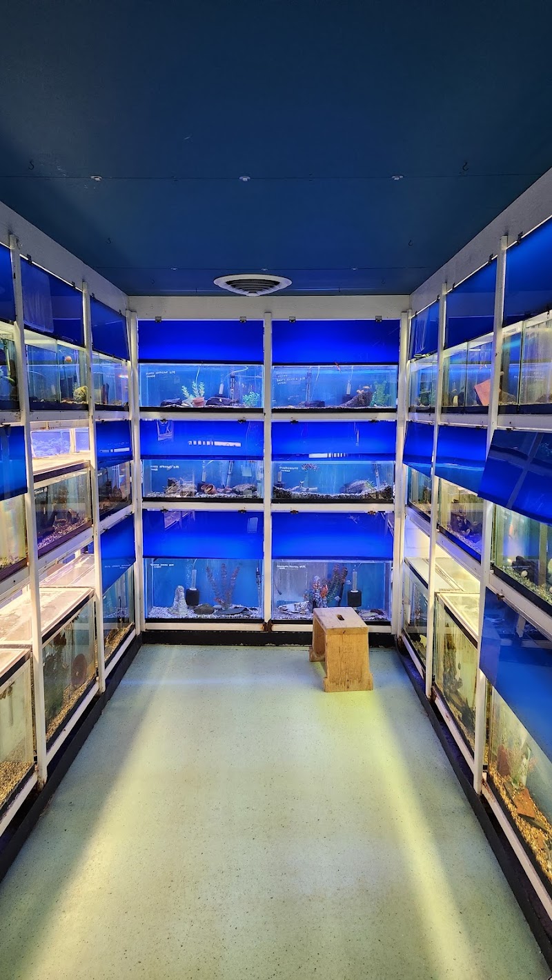 Tropical Treasures - Photo 3