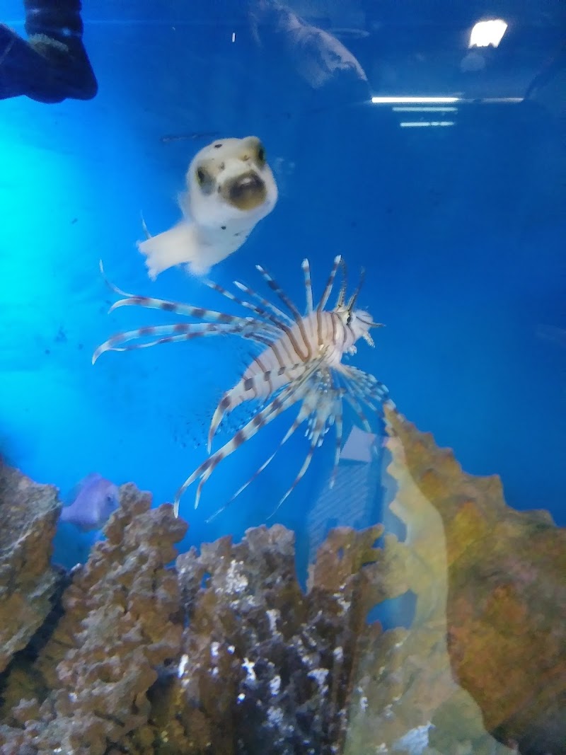 Tropical Treasures - Photo 4