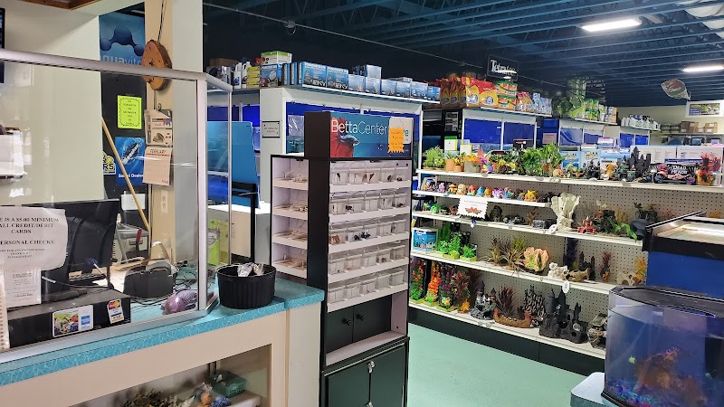 Tropical Treasures - Photo 5