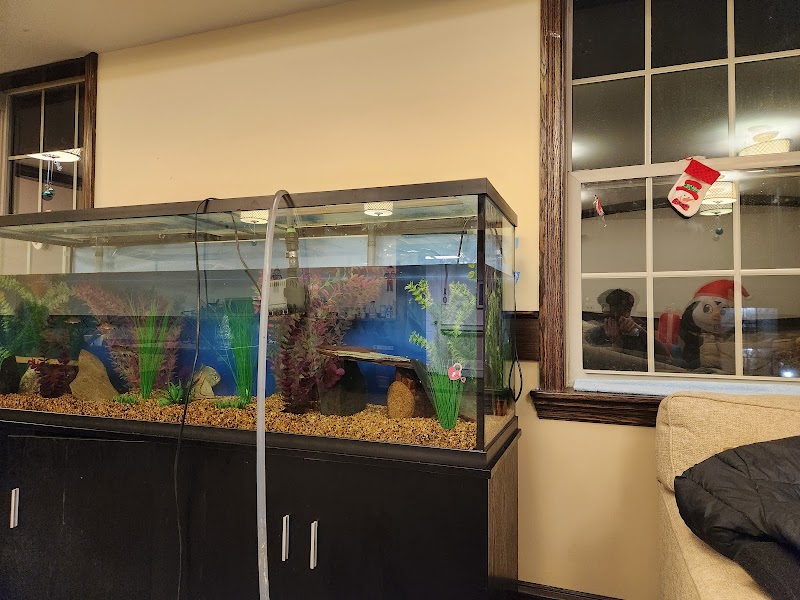 Michigan Aquarium Services - Photo 1