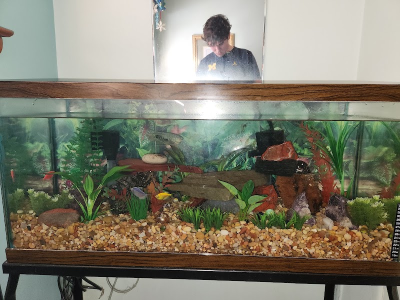 Michigan Aquarium Services - Photo 2