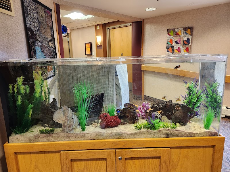 Michigan Aquarium Services - Photo 4